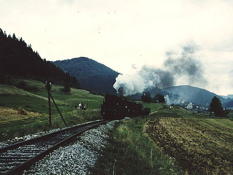 Zug von Reichenbach a.H. nach Wehingen 